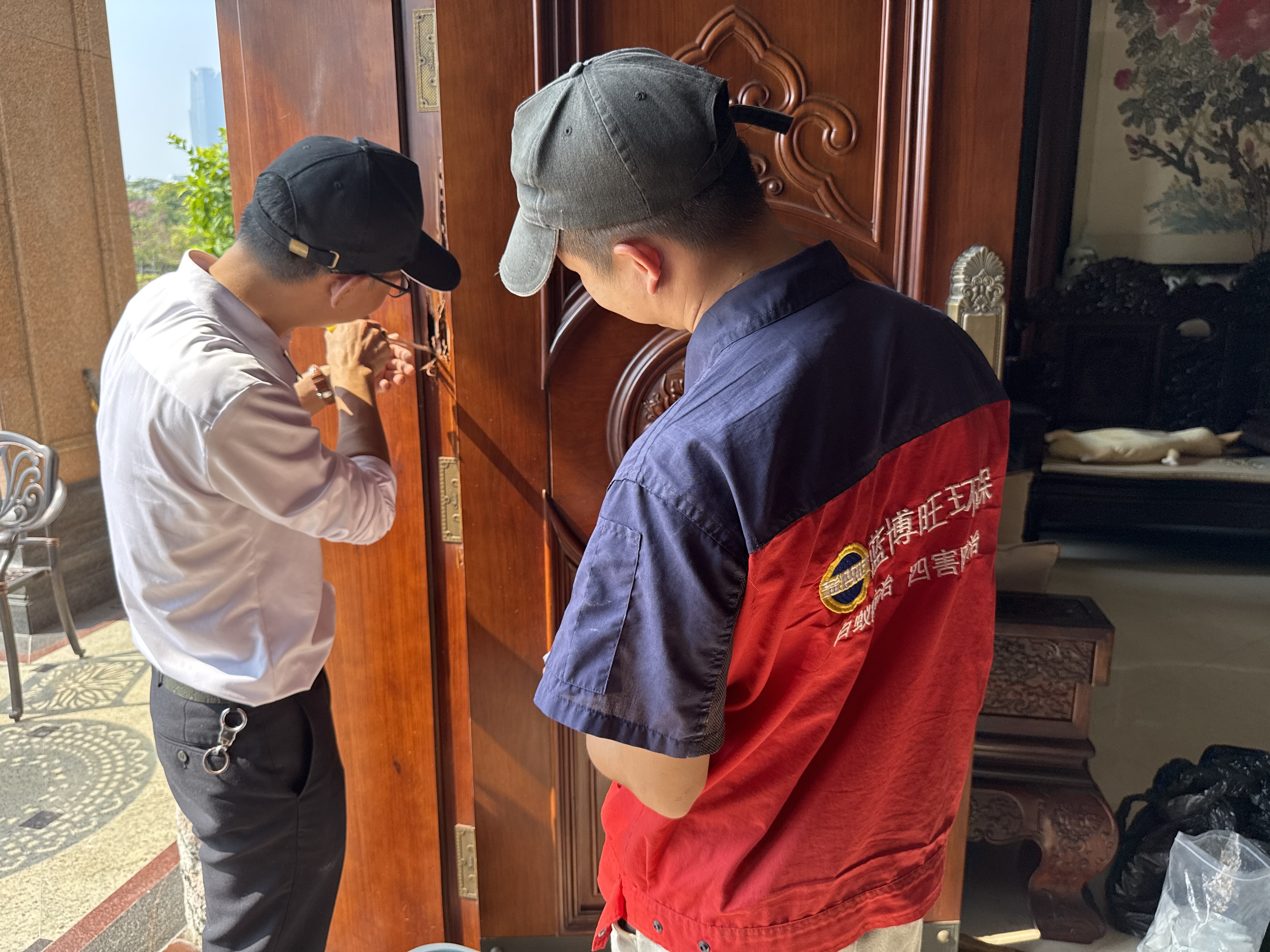 對付老鼠的十三種方法